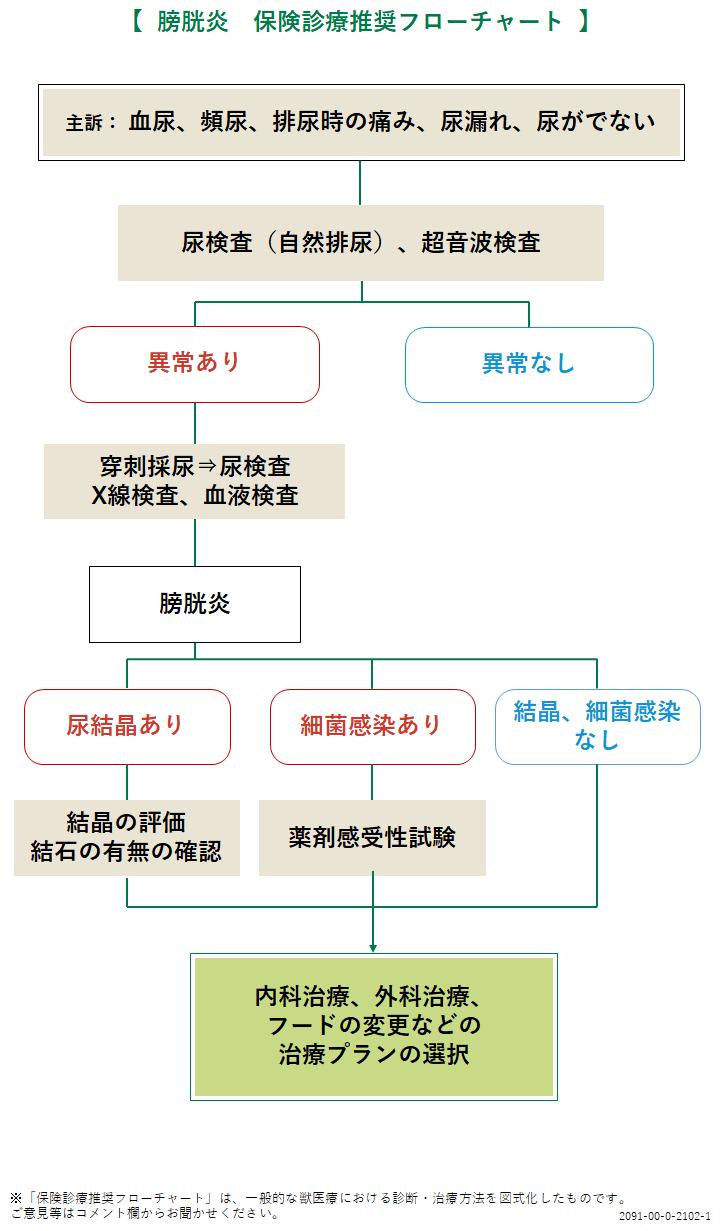 膀胱炎 猫 みんなのどうぶつ病気大百科