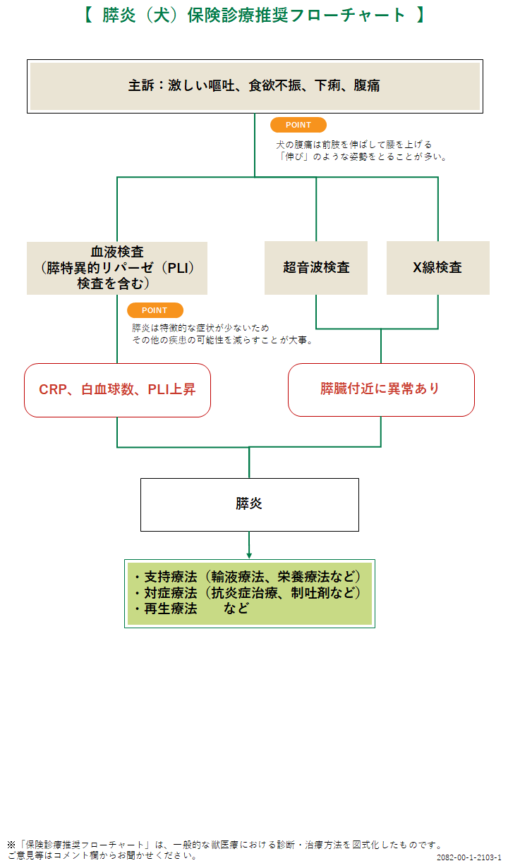 膵炎 犬 みんなのどうぶつ病気大百科