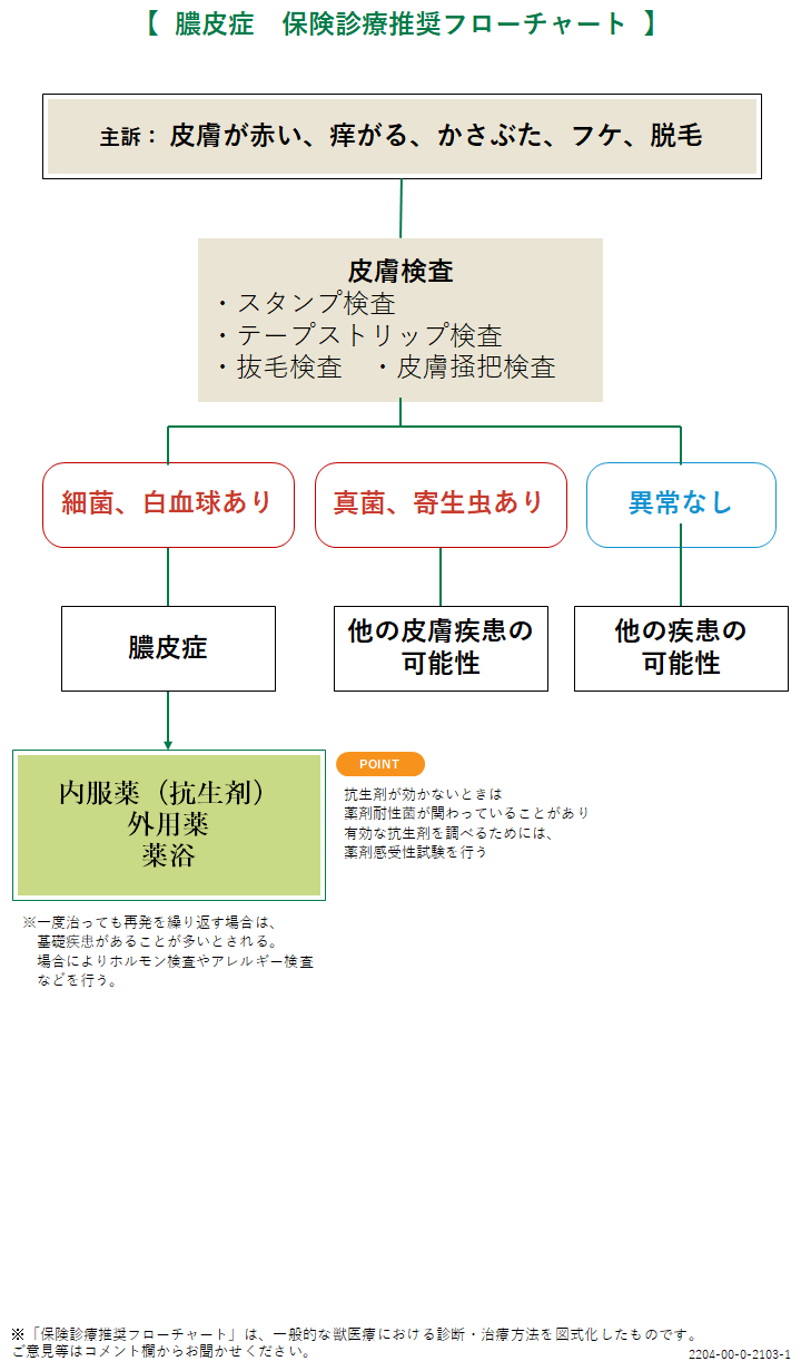 膿皮症 犬 みんなのどうぶつ病気大百科