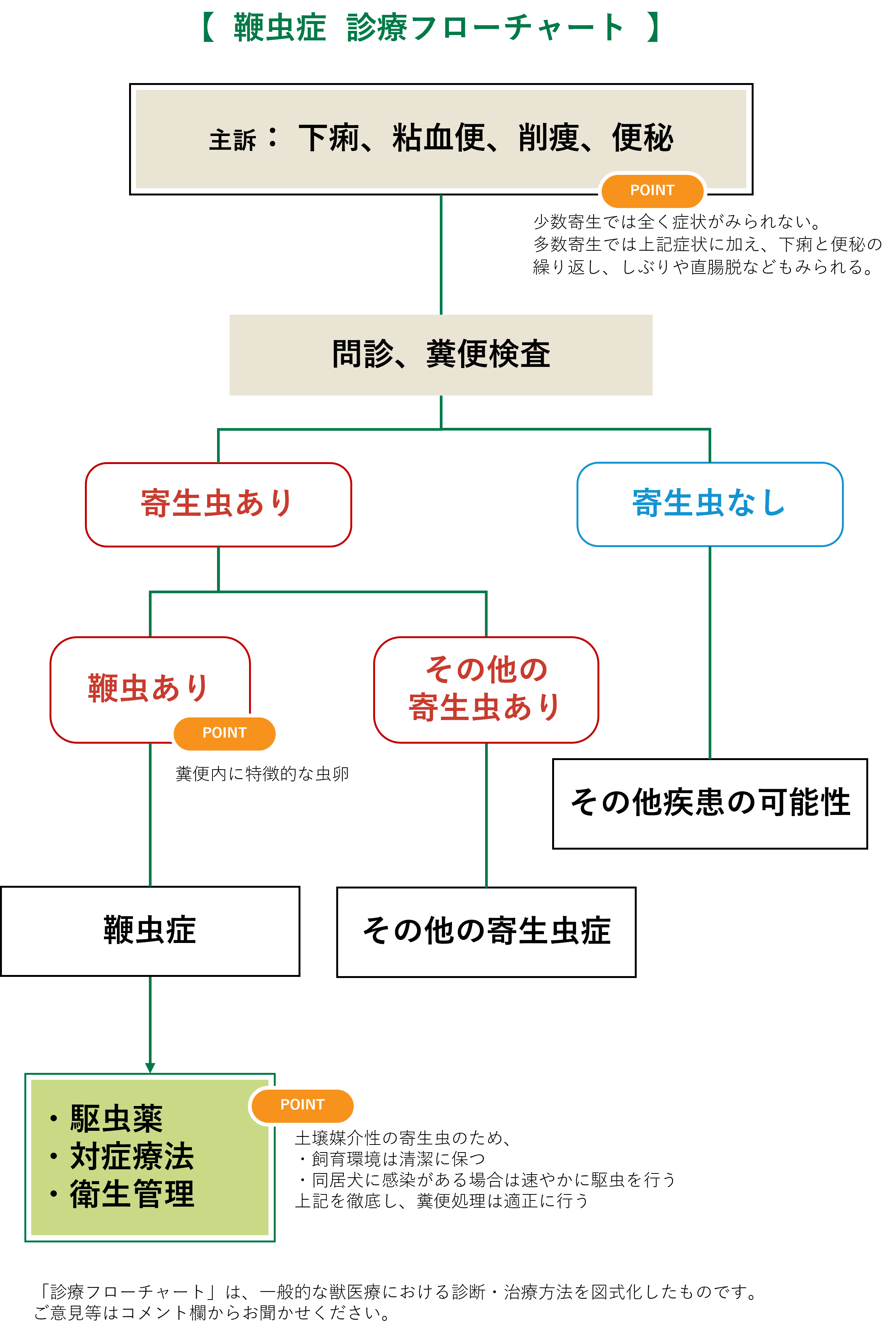 鞭虫症フローチャート