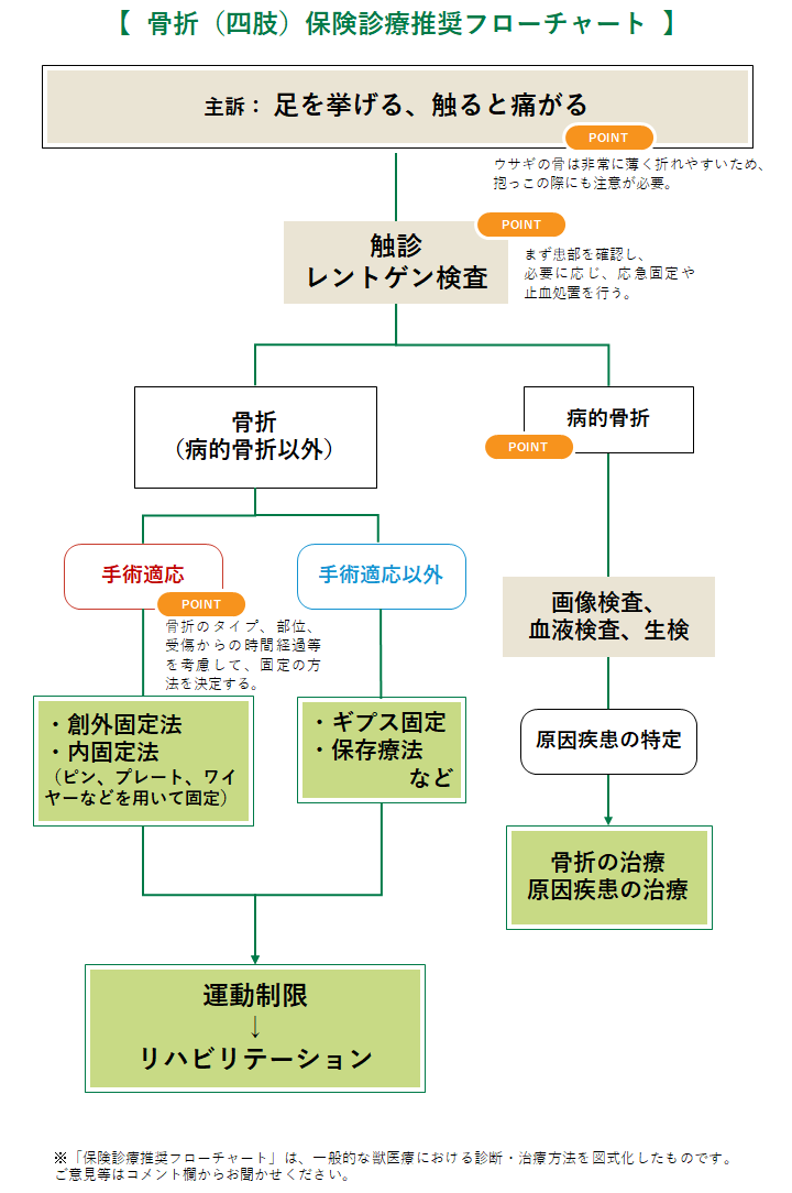 骨折の診療フローチャート
