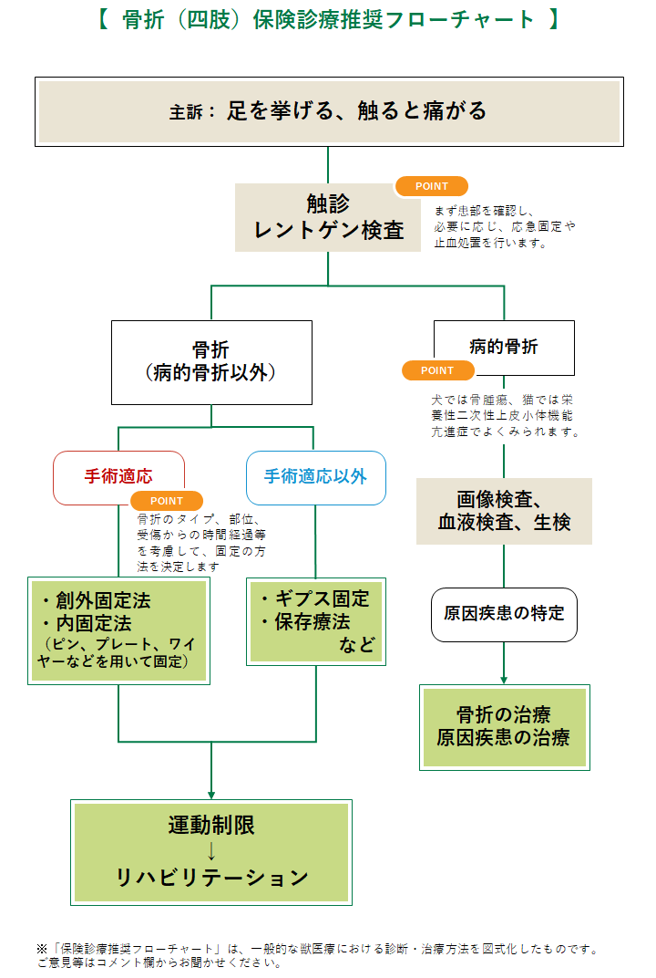 骨折の診療フローチャート