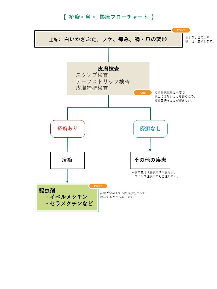 疥癬