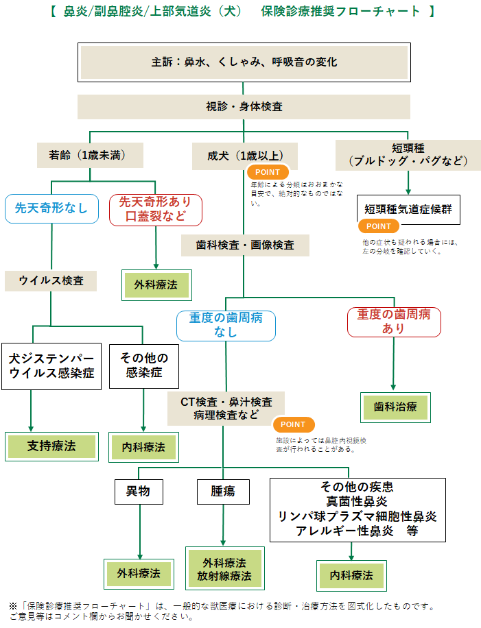 鼻炎 犬 みんなのどうぶつ病気大百科