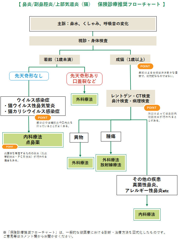 鼻炎の診療フローチャート