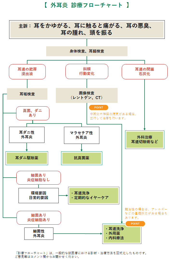 外耳炎の診療フローチャート