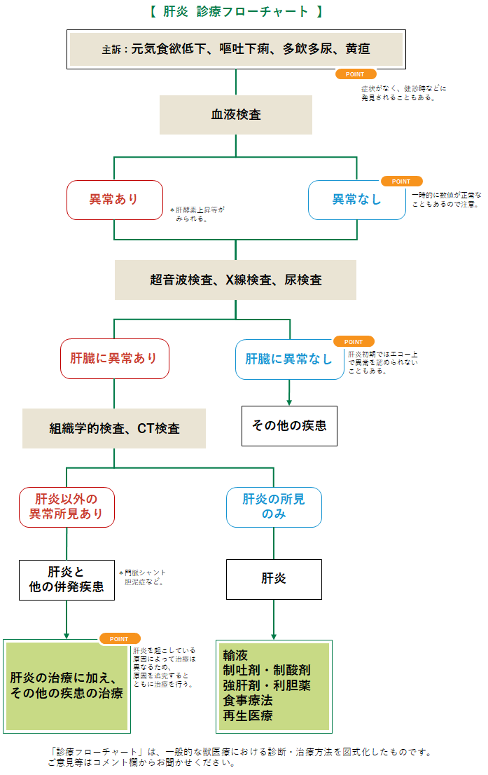 肝炎の診療フローチャート