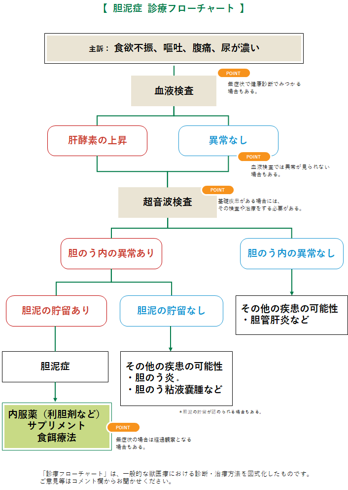 胆泥症 たんでいしょう 犬 みんなのどうぶつ病気大百科