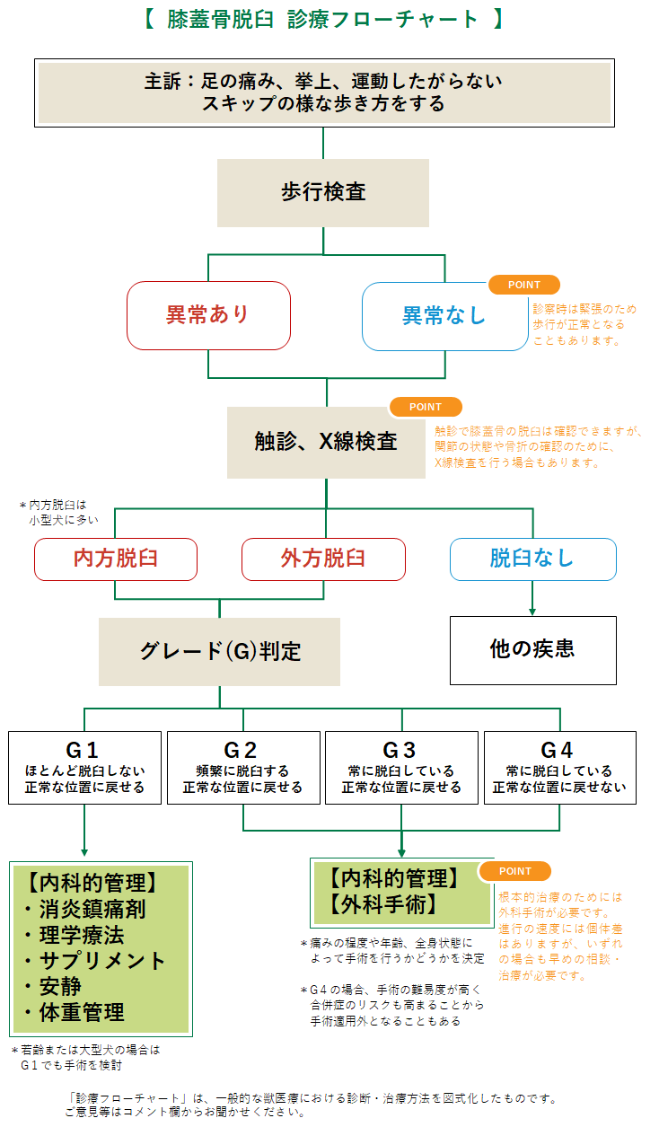 膝蓋骨脱臼の診療フローチャート