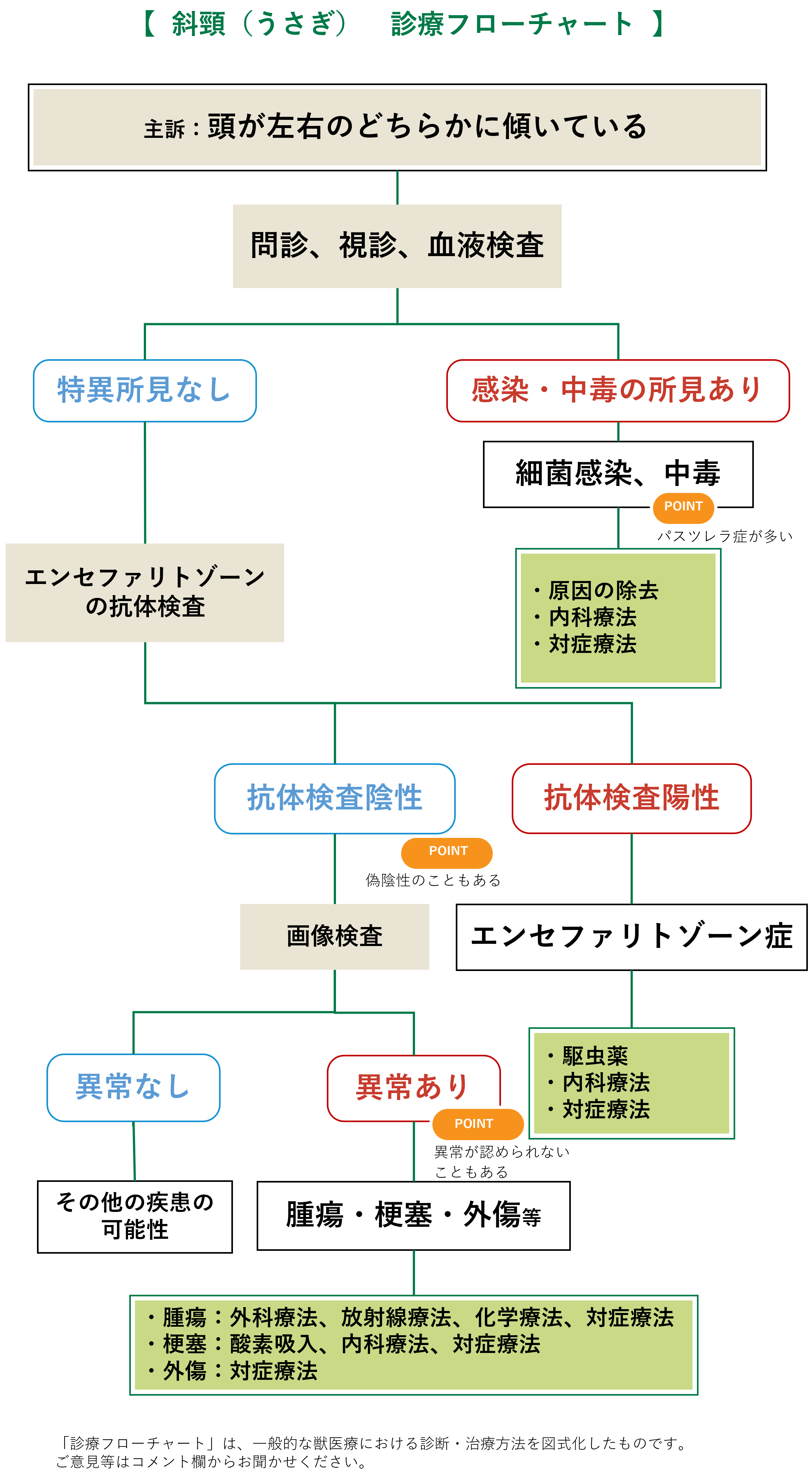 斜頸（うさぎ）フローチャート