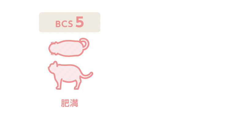 BCS図（3）