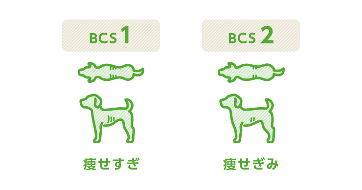 BCS図1(犬)