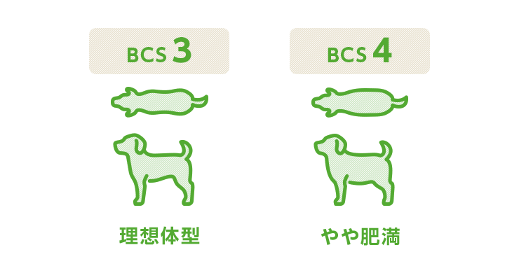 BCS図2(犬)