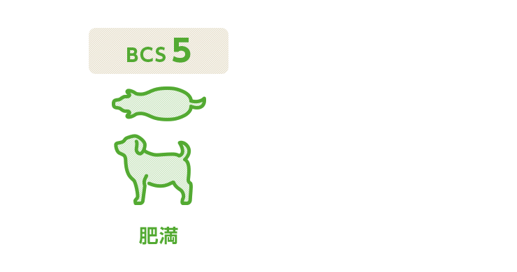 BCS図3(犬)