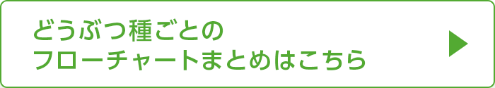 どうぶつ種ごとのフローチャート