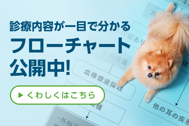 診療フローチャート