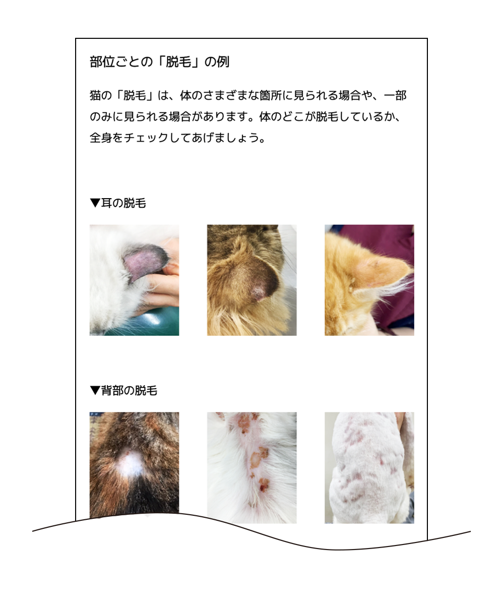 部位ごとの脱毛