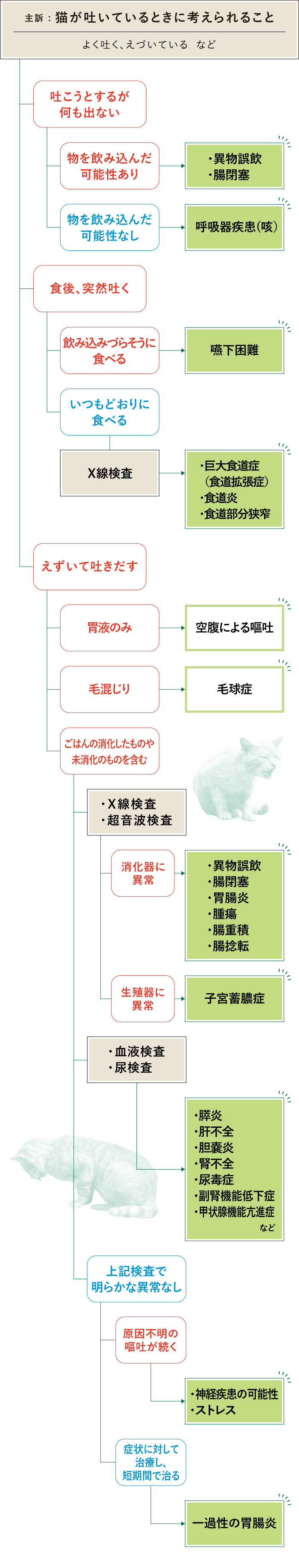 猫　吐いている　フロチャ