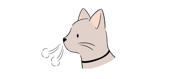 猫　鼻呼吸