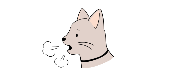 猫　開口呼吸