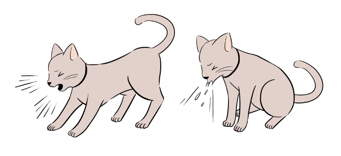 猫　咳　くしゃみ