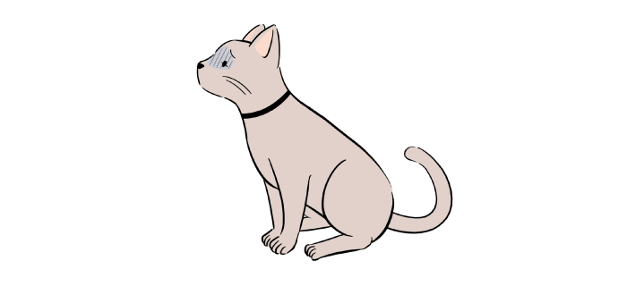 猫　姿勢を変えない