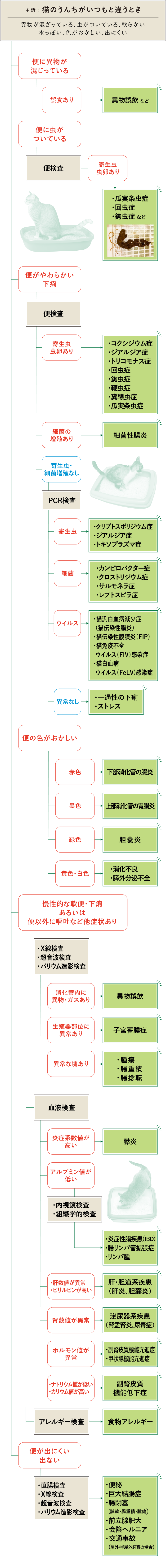 猫 うんち フロチャ画像