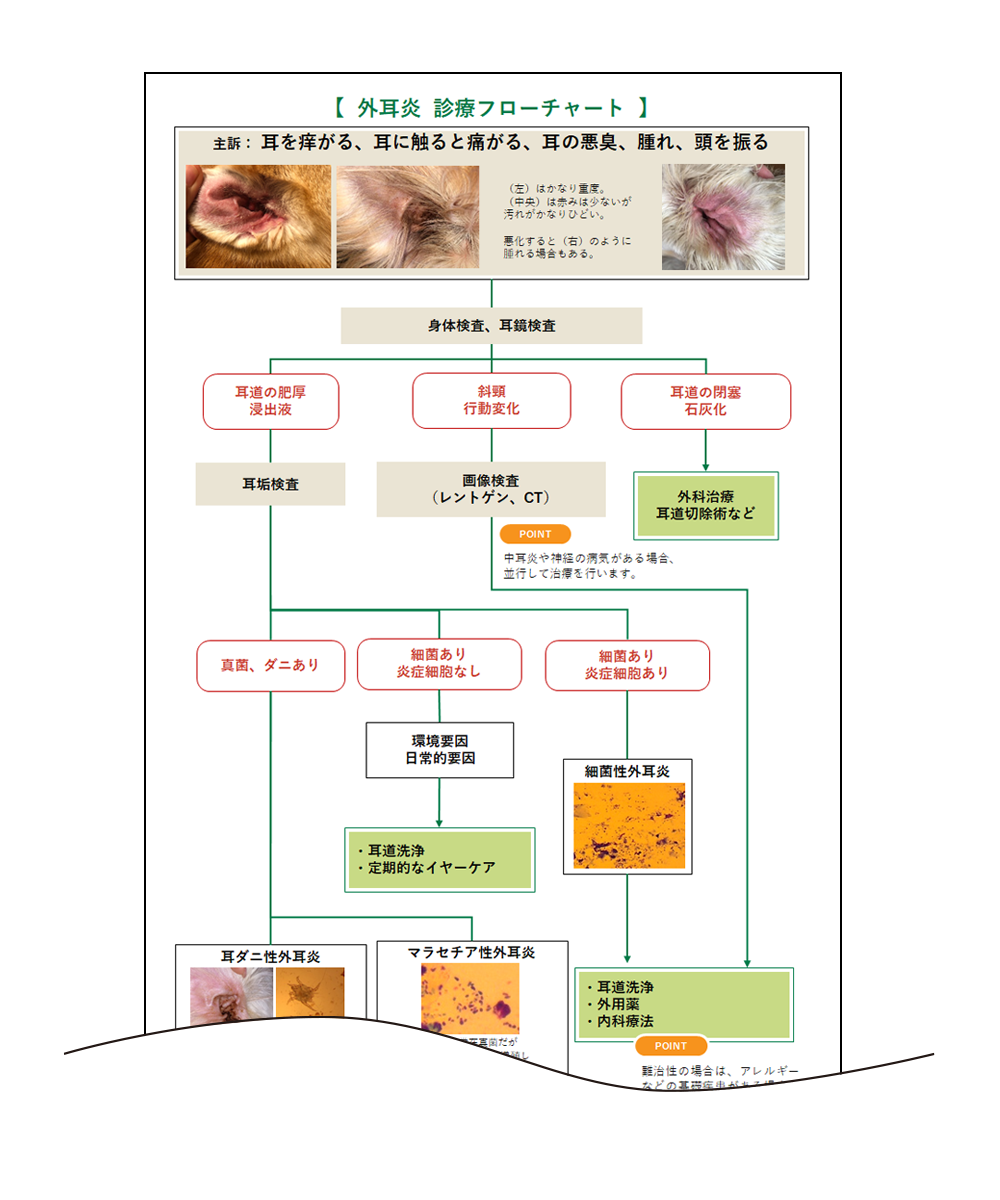 診療フローチャート