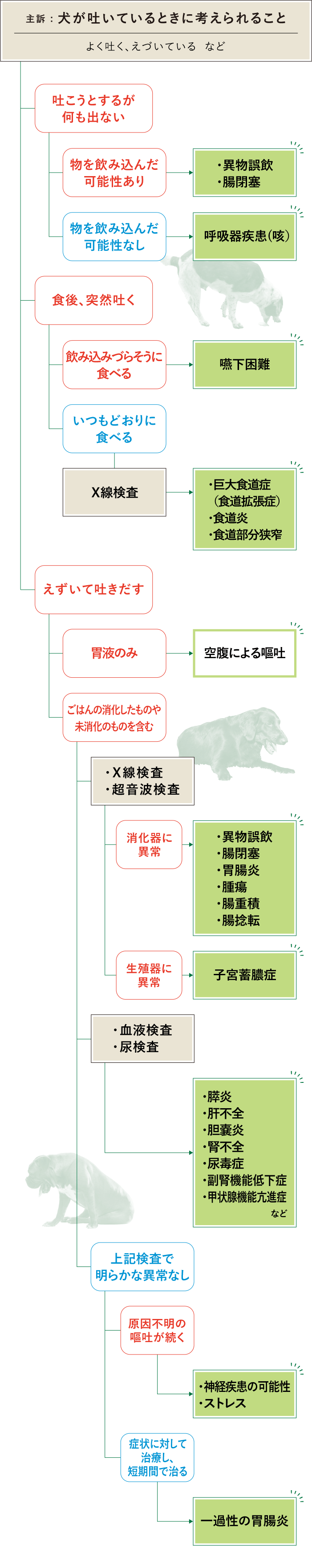 食べた後に吐いてしまう 吐こうとするのに何も出ない 犬が吐いているときに考えられること みんなのどうぶつ病気大百科