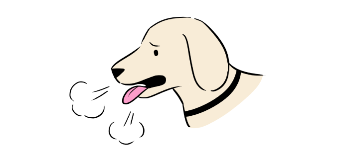 呼吸数が増える犬