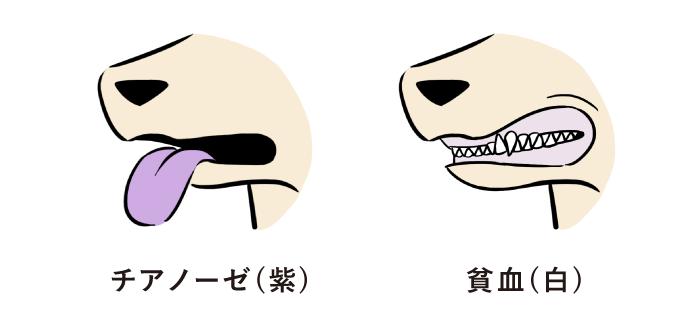 粘膜の変化
