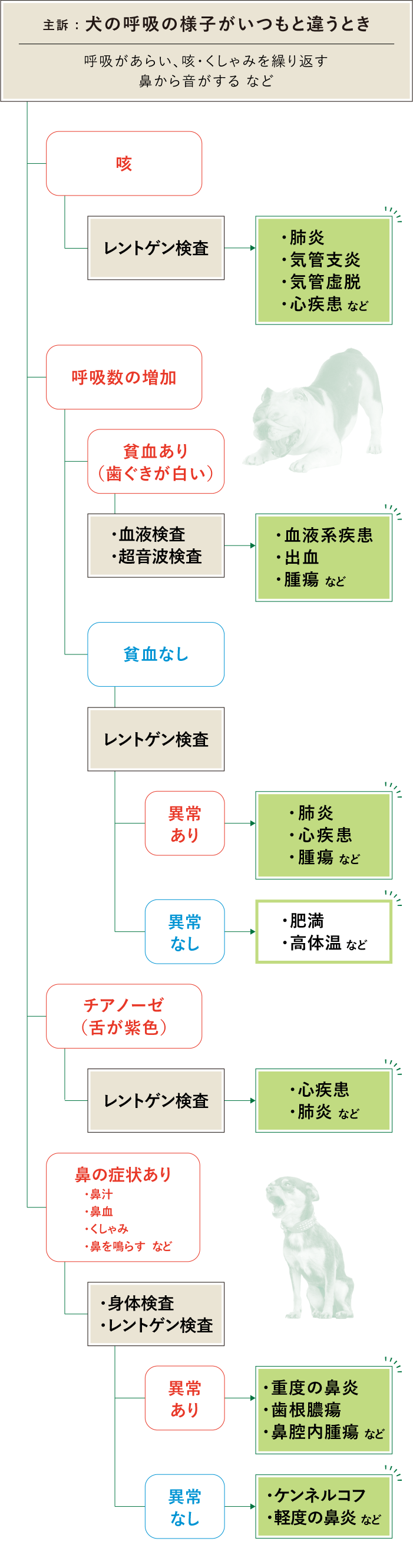呼吸　フローチャート