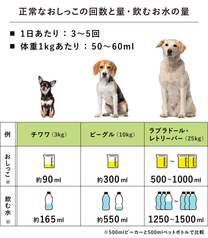 おしっこ　正常