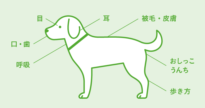 お手入れ総まとめ トップ