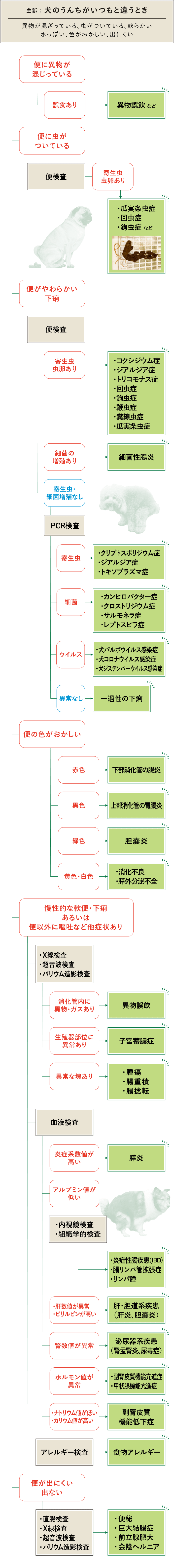 うんち フローチャート