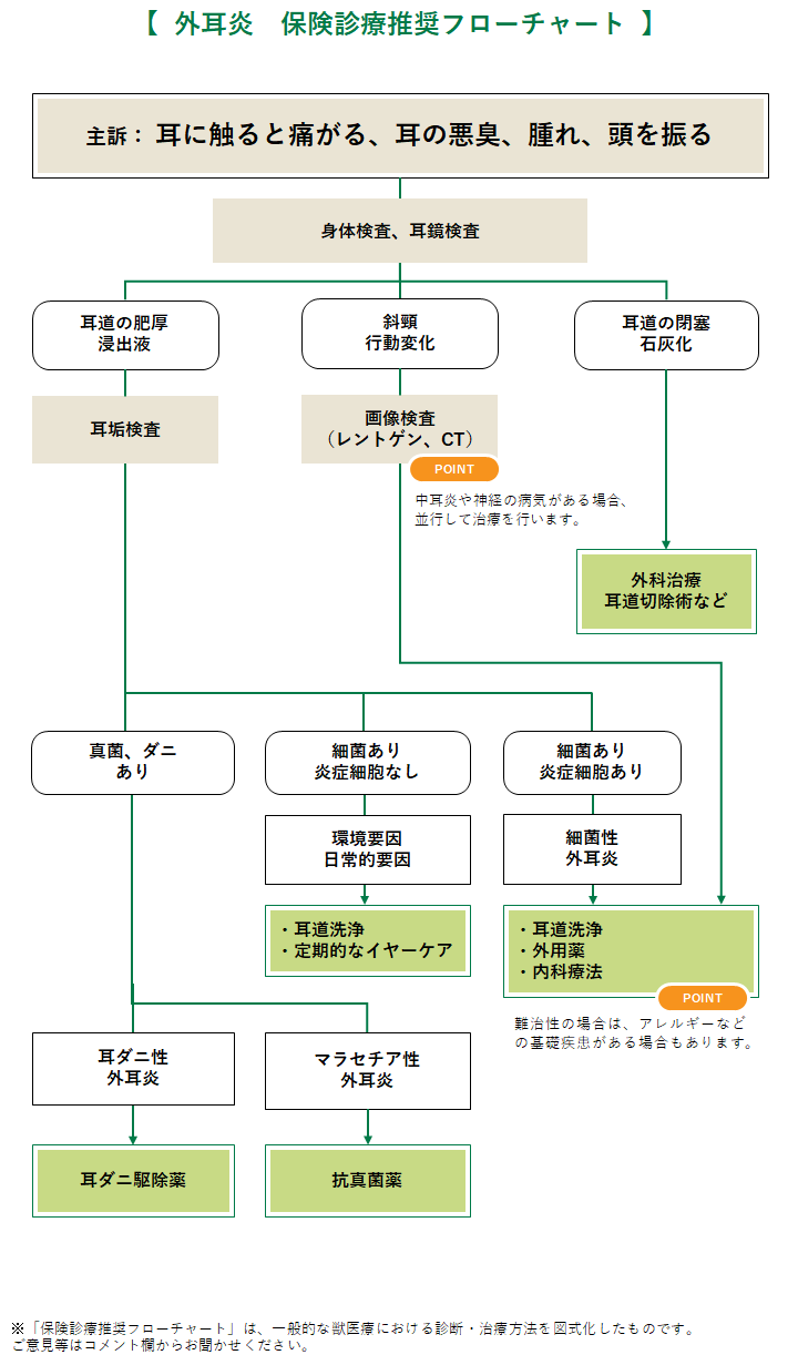 外耳炎 犬 みんなのどうぶつ病気大百科 外耳炎 犬 みんなのどうぶつ病気大百科