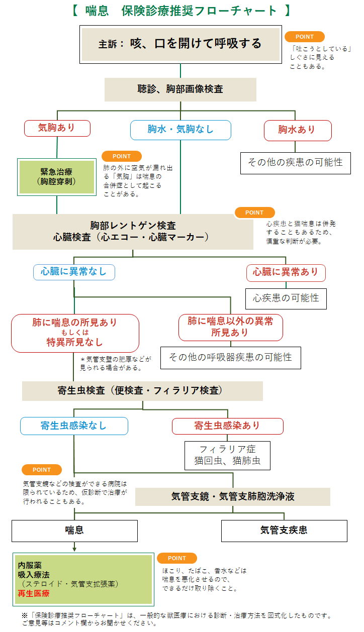 喘息 ＜猫＞ | みんなのどうぶつ病気大百科