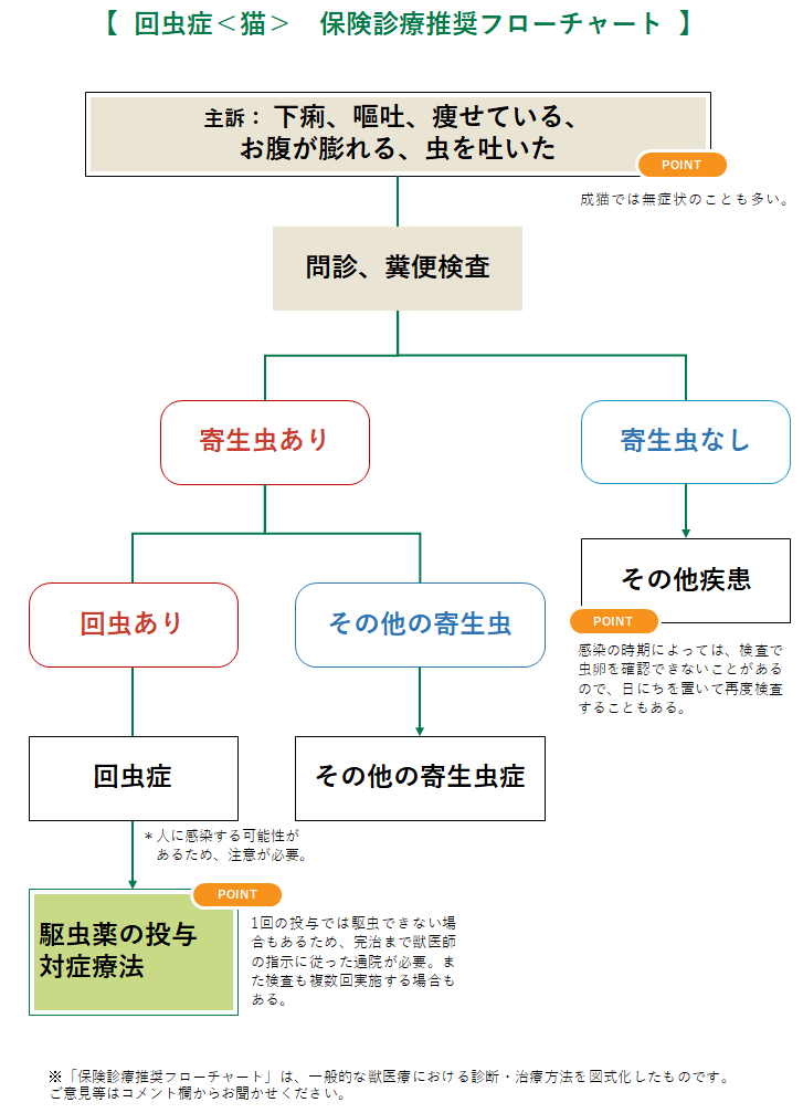 回虫（トキソカラ）症 ＜猫＞ | みんなのどうぶつ病気大百科