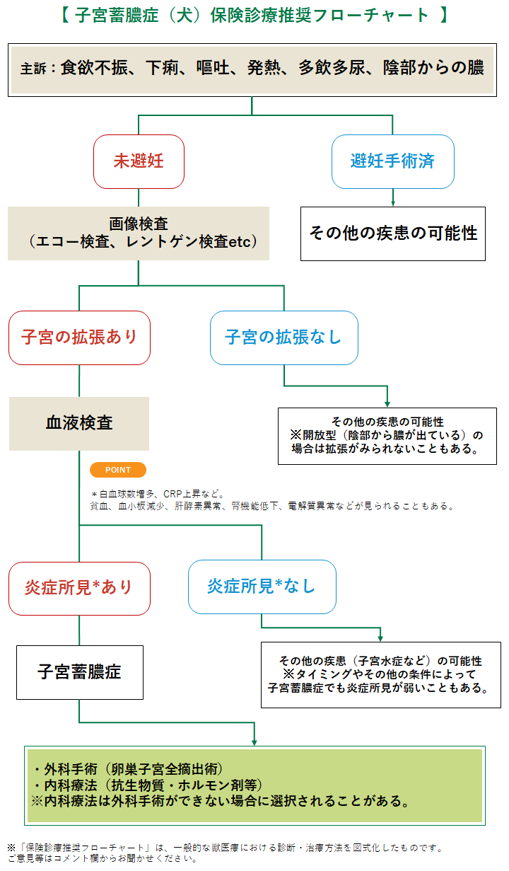 蓄膿症 犬 子宮