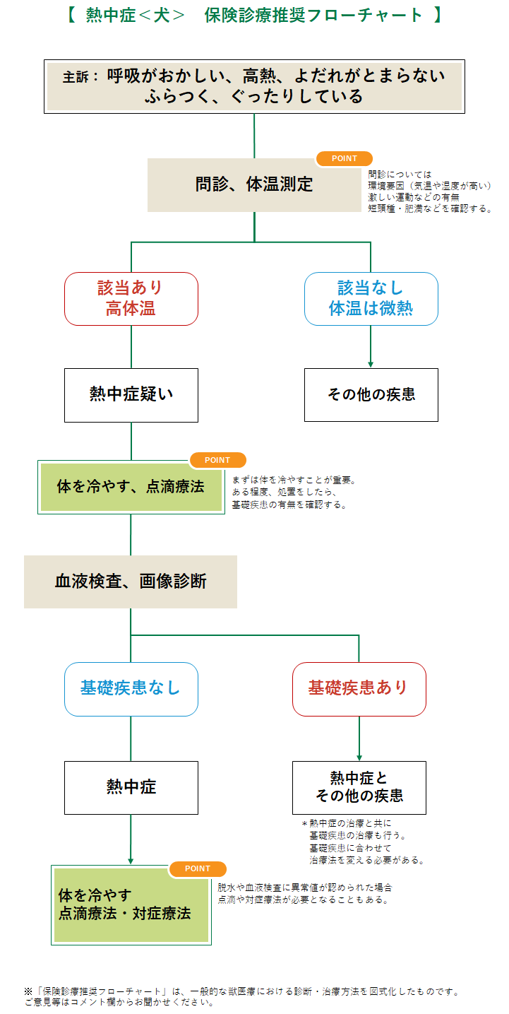 フローチャートによる小動物疾患の診断 | 武部 正美 |本 | 通販