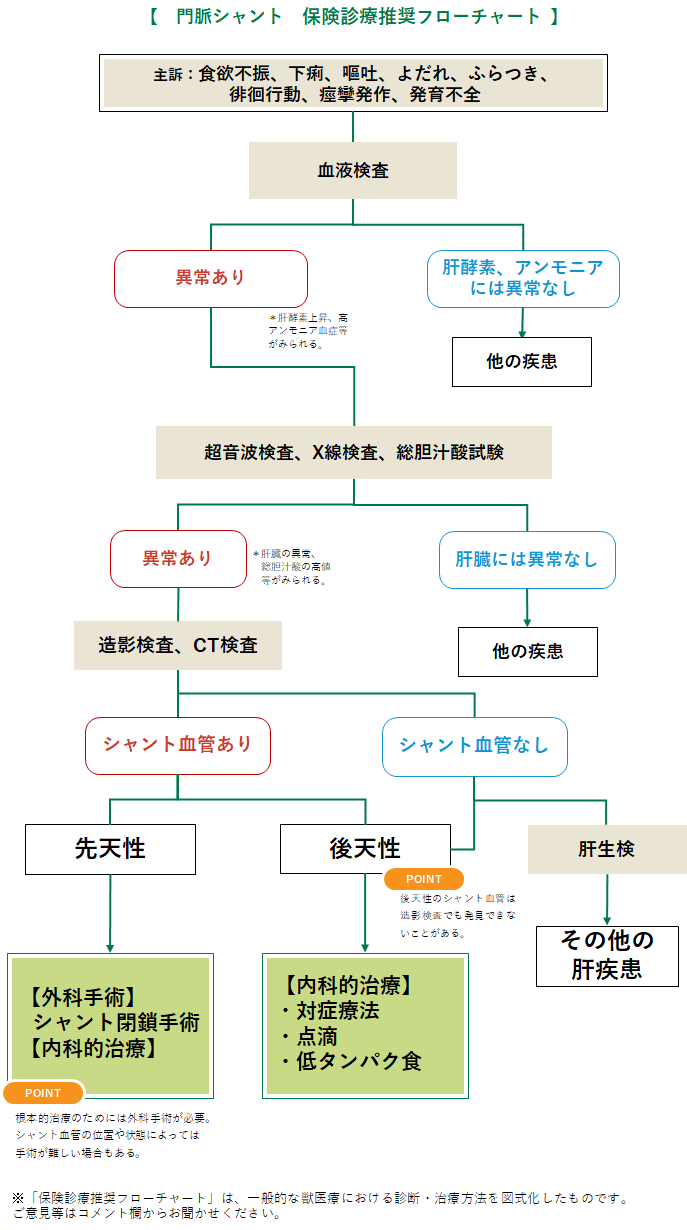 門脈シャント ＜犬＞ | みんなのどうぶつ病気大百科