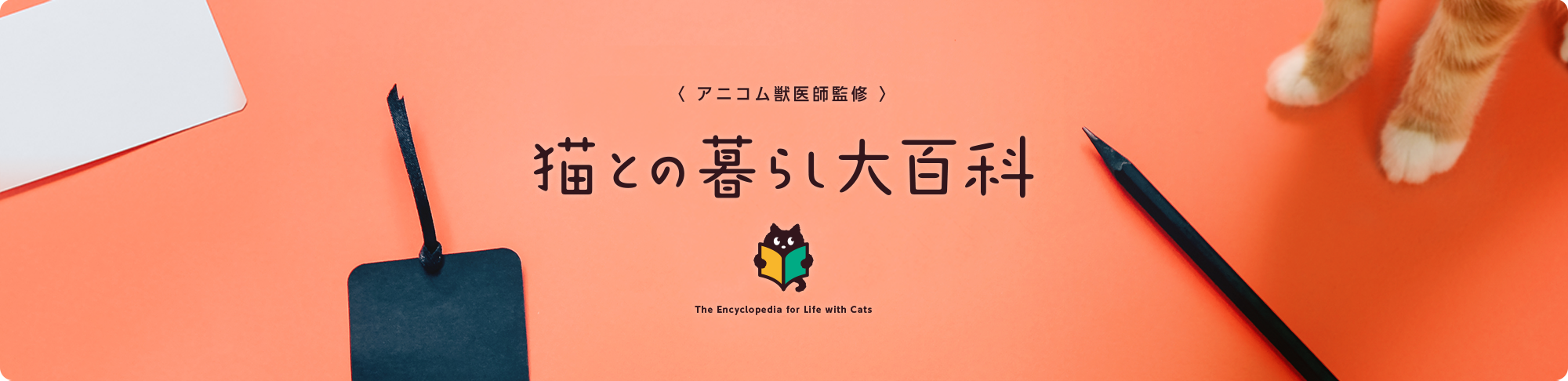 猫との暮らし大百科