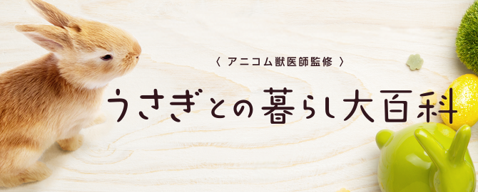 うさぎとの暮らしをトータルサポートするアニコム獣医師監修サイト「うさぎとの暮らし大百科」