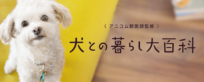 犬との暮らしをトータルサポートするアニコム獣医師監修サイト「犬との暮らし大百科」