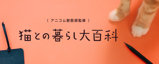 猫との暮らしをトータルサポートするアニコム獣医師監修サイト「猫との暮らし大百科」