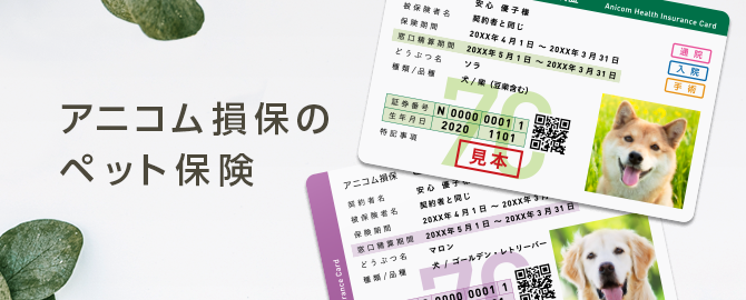 10年連続ペット保険シェアNo.1「アニコム損保」