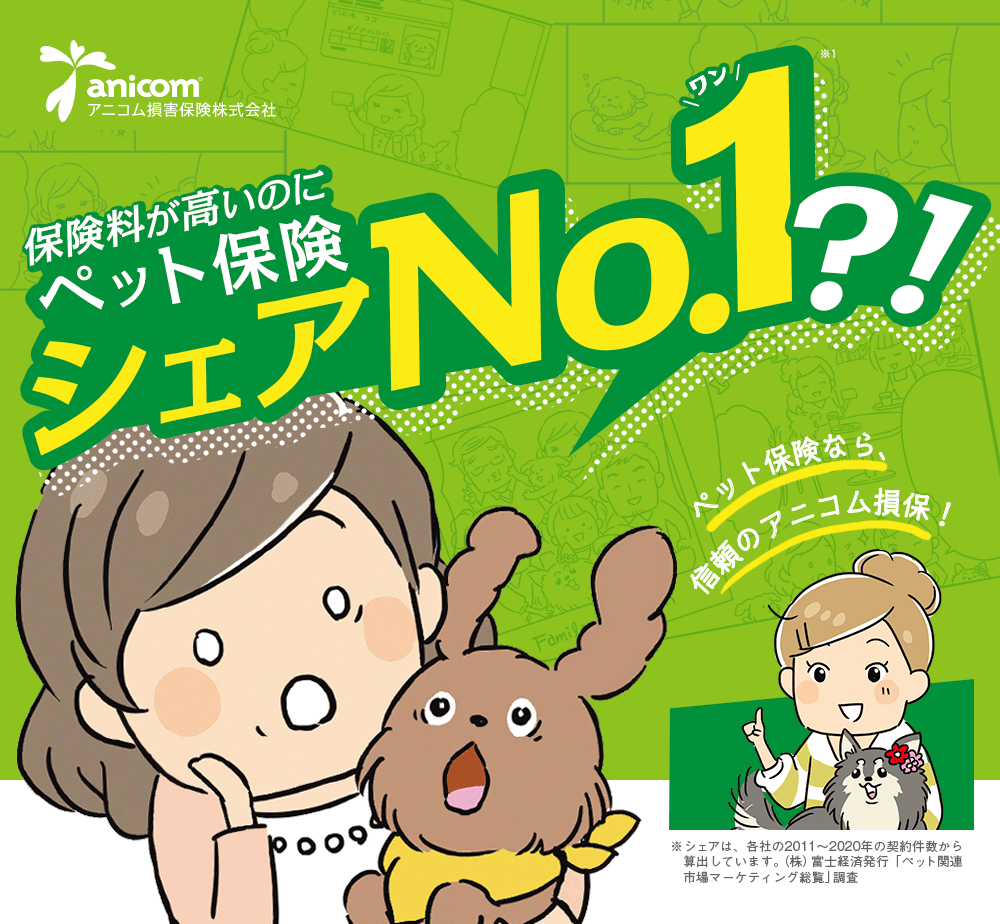 ݸ⤤ΥNo.1?!ˤϡͳפޤ