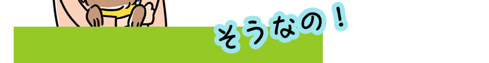 ʤΡ