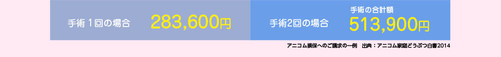 ѣξ283,600ߡѣξѤι׳513,900