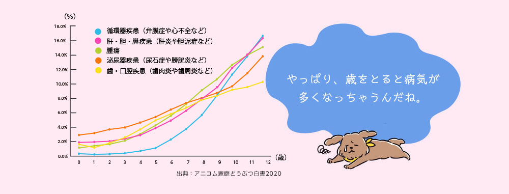 äѤꡢФȤµ¿ʤä㤦͡